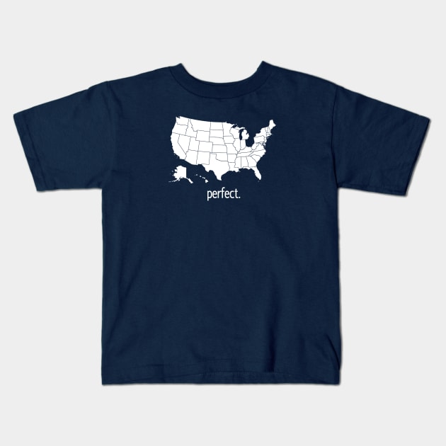 Perfect America Kids T-Shirt by DTees1